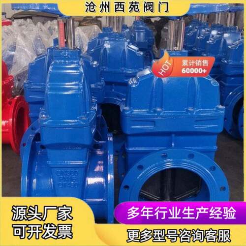 国标明杆大体软密封法兰信号闸阀Z41X西苑球墨铸铁给排水阀门