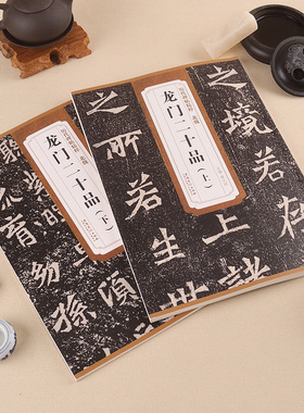 历代碑帖精粹 北魏龙门二十品 上下两本 薛元明 附简体旁注附技法解析临摹临习篆书的好范本艺术书法古贴临摹书法练习教材安徽美术