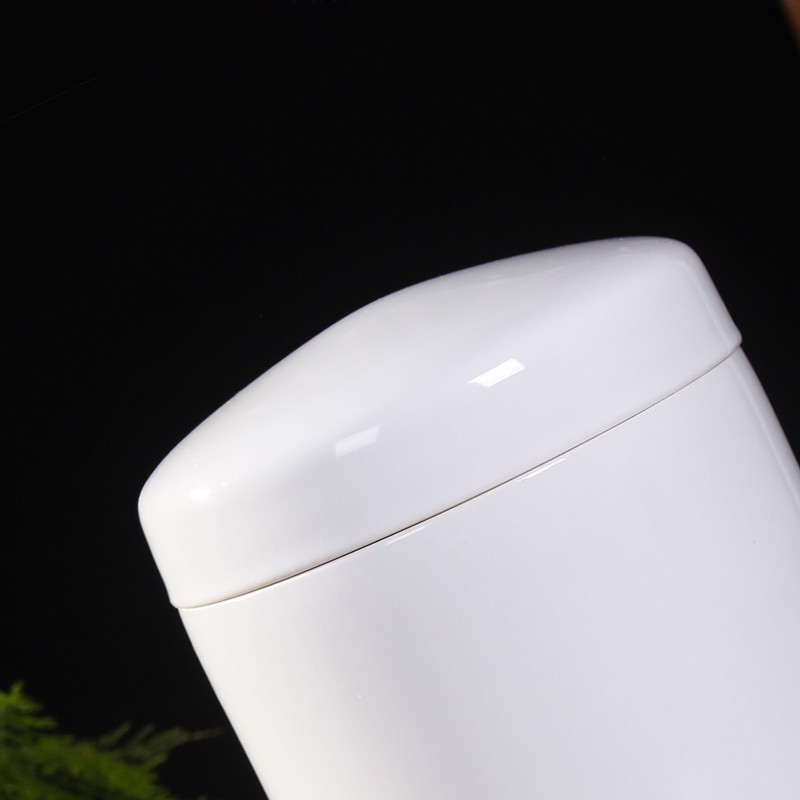 密封罐陶瓷器骨灰坛殡葬用品宠物骨灰坛 纯M白储物罐骨灰盒 灵宠