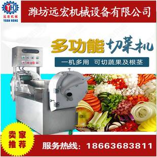 全自动切片切丝机厂家供应多功能切片切丝机根茎叶类蔬菜切片机