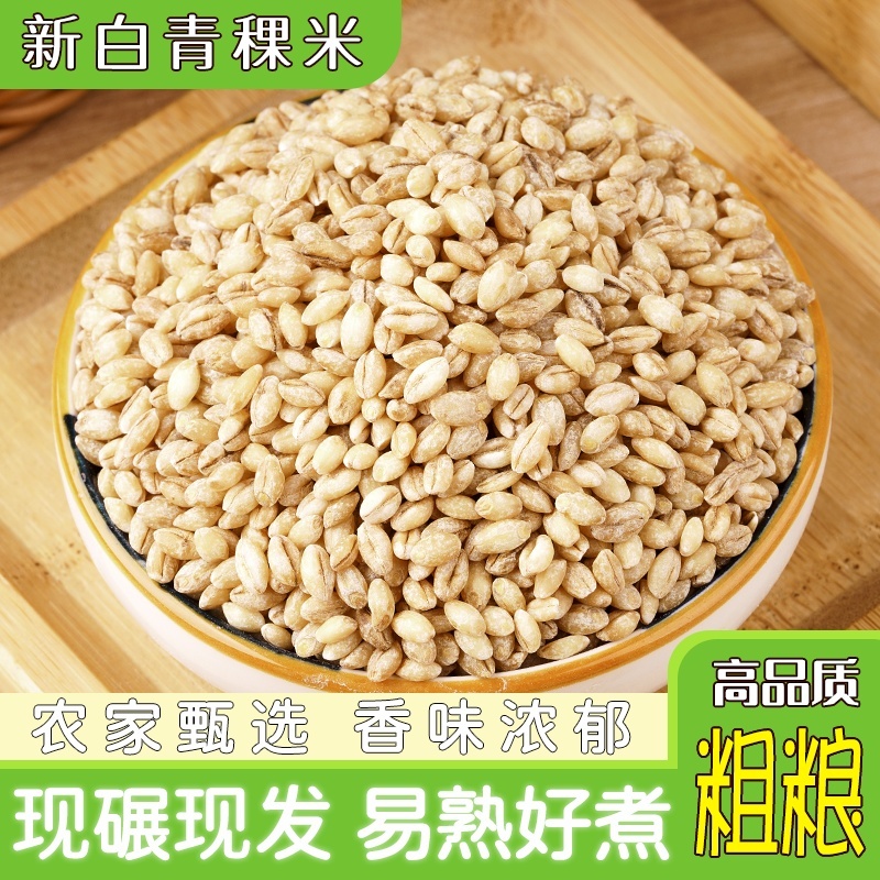 新米白青稞米青藏高原粮食谷物青稞米去皮煮粥青稞麦仁新粮净重