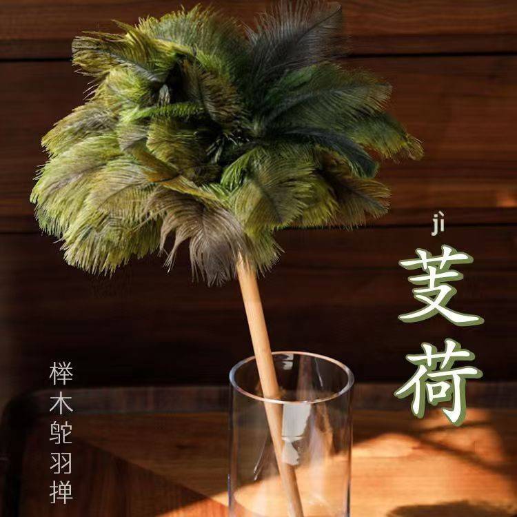 鸵鸟毛羽毛掸子家用静电除尘掸扫灰手工清洁长柄鸡毛掸子工厂