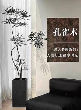 孔雀木仿真绿植高端轻奢客厅仿生假植物室内大型落地盆栽装饰摆件