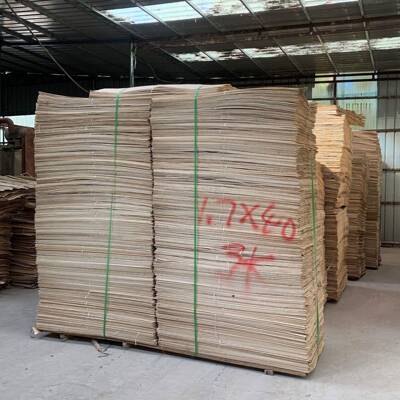VEX杨单木货皮大量现杨板木板杨木心饰面皮指甲锉用类板皮