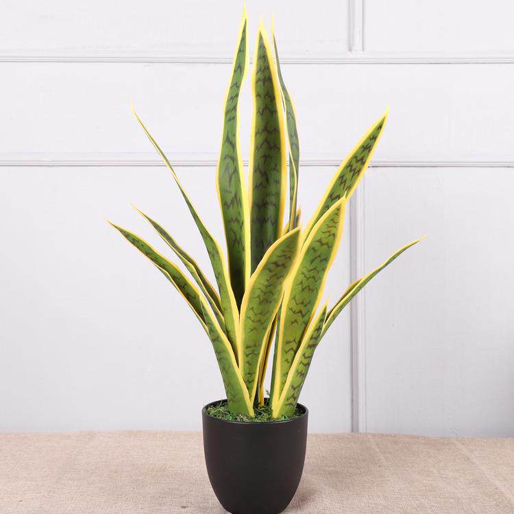 塑料仿真人绿色虎皮兰家室内装饰造大盆栽仿QH-52008真植物虎居皮