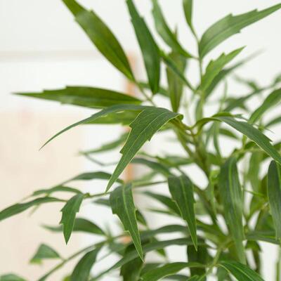 大型仿真厅绿盆栽室内客装高端植轻奢落地YJ-00124饰仿生植物十大