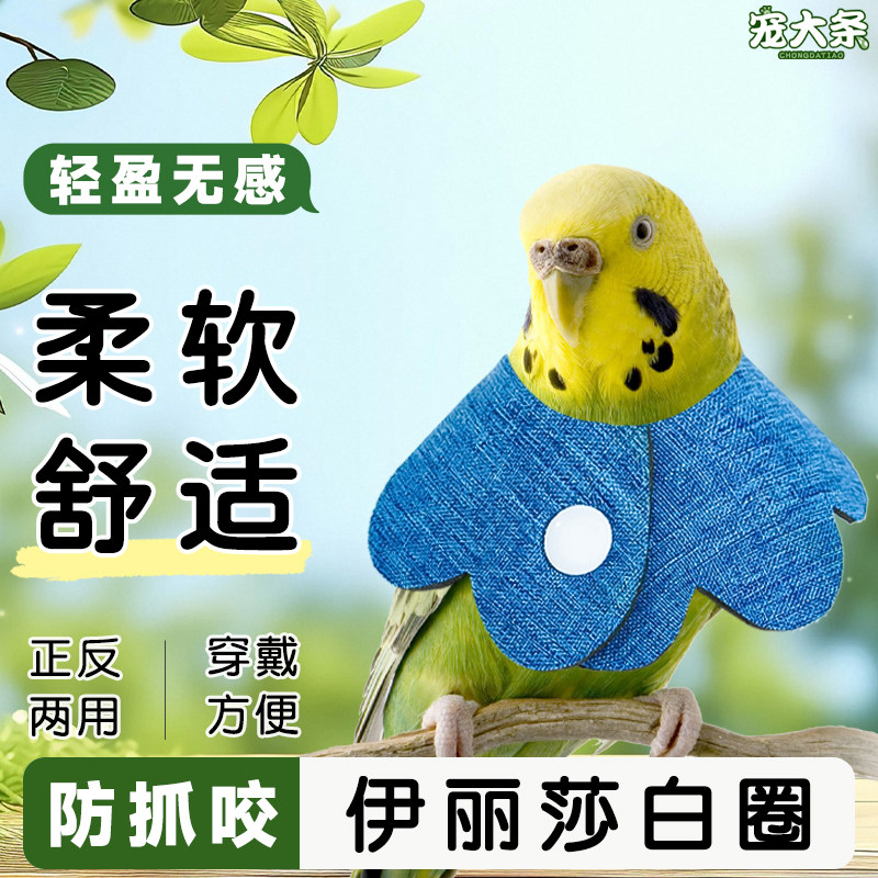【宠大条】鹦鹉伊丽莎白圈鸟用防啃咬项圈牡丹玄凤保护防叼毛头套,宠物/宠物食品及用品,鸟禽服饰,淘宝优惠券,粉丝福利购,淘宝优惠卷