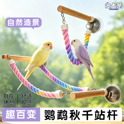 宠大条鹦鹉秋千站杆吸盘站台虎皮玄凤牡丹专用攀爬绳站棍鸟玩具