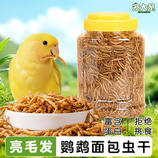 寵大條鸚鵡專用面包蟲干獎勵零食虎皮玄鳳牡丹小太陽訓練零食鳥糧