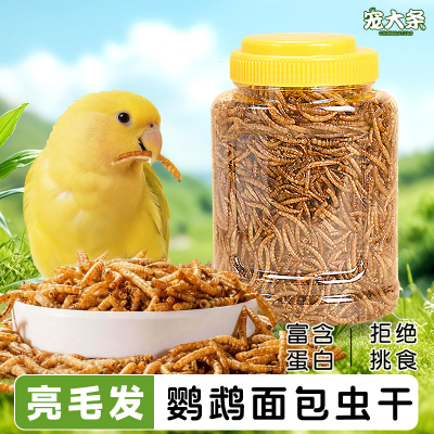 宠大条鹦鹉专用面包虫干奖励零食
