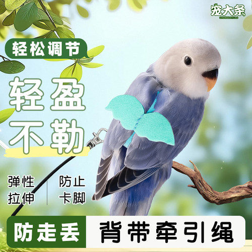 【宠大条】鹦鹉放飞绳鸟用牵引绳牡丹玄凤外出背带飞行服遛鸟神器