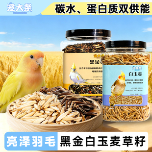 宠大条鹦鹉粮白玉黑金双色麦草籽鸟零食虎皮玄凤牡丹训练奖励鸟粮