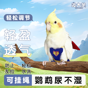 宠大条鹦鹉尿不湿牡丹玄凤和尚虎皮鹦鹉衣服尿不湿屎兜鹦鹉放飞绳