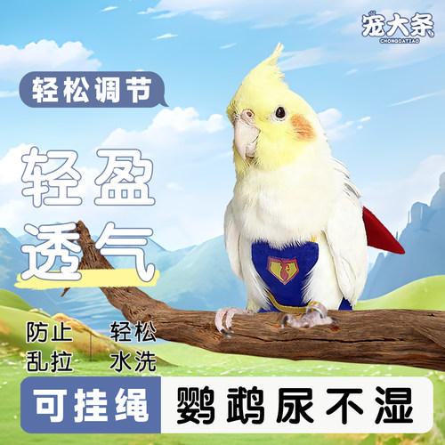 宠大条鹦鹉尿不湿放飞绳