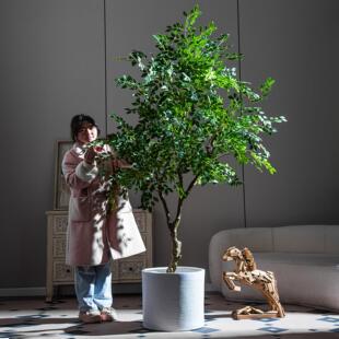 新品大型彷真绿色植物落地室内盆栽榆钱树金钱榕摆件彷生植物假树