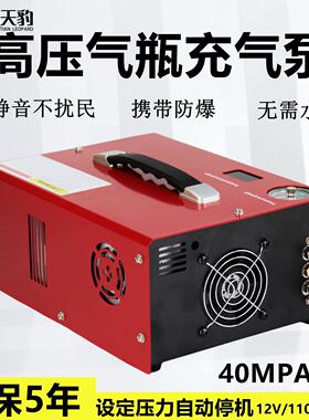 川天豹12V车载高压打气泵40mpa电动打气机高压打气机打气泵30mpa