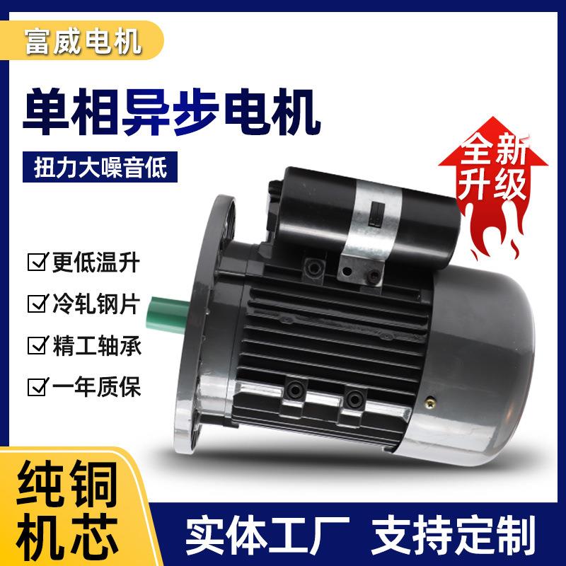 YL802-4单相750W软冰机用电机低噪音全铜机芯卧式电动机B3系列