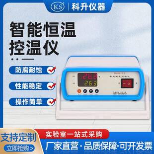 IV电子智能数显恒温厂家促销 数显智能控温仪ZNHW 价