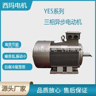西安電機YE5 6極1.5W一級能效IE5交流三相異步電動機 100L1