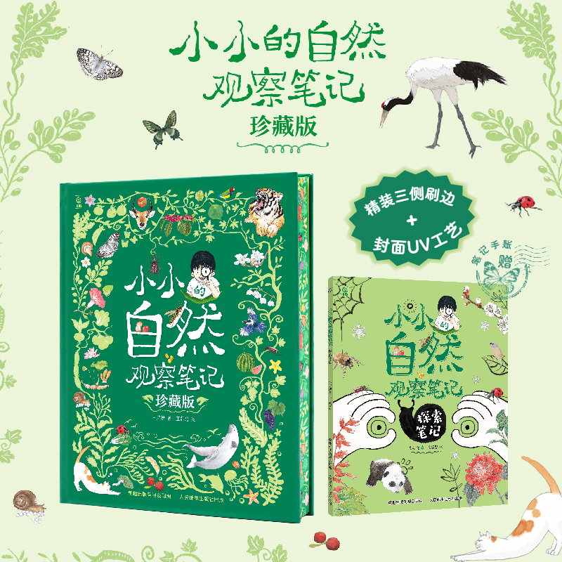 小小的自然观察笔记珍藏版 赠探索笔记小册子 给中国孩子的手绘科普书大自然探索笔记儿童科普启蒙绘本大厚本精装版课外必读昆虫记