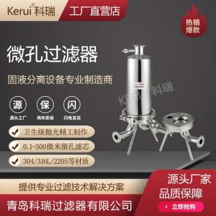 过滤机 微孔过滤器生活净水器前置过滤设备RO精密保安折叠芯式