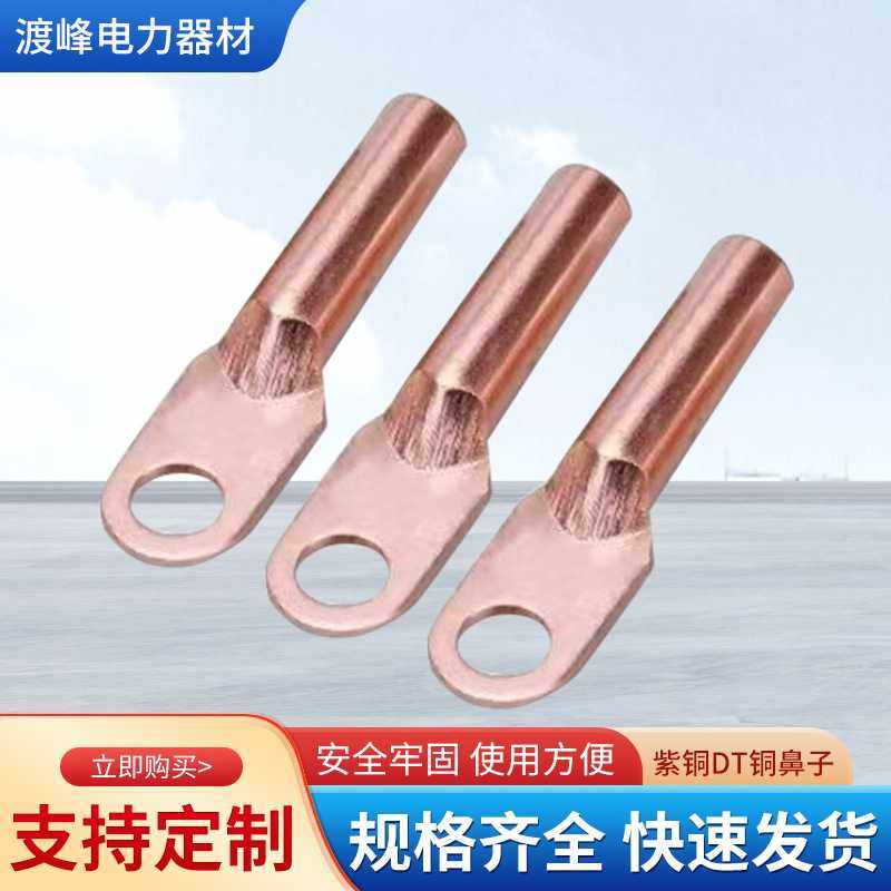 DT铜鼻子线鼻子加厚接线端子国标铜线耳接头镀锡镀锌10/240平方,五金/工具,接线柱,淘宝优惠券,粉丝福利购,淘宝优惠卷