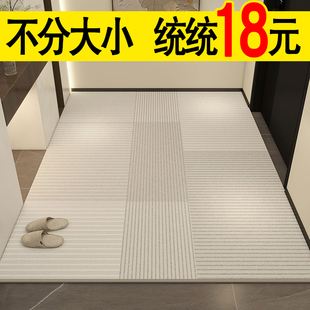 入户门地垫进门地毯客厅门口垫子家用门垫轻奢高级玄关脚垫可裁剪