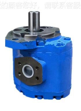 川长江液压油泵马达齿轮CB2四Y 3063 20泵5 4125 GPC4A-63-JMLD3R