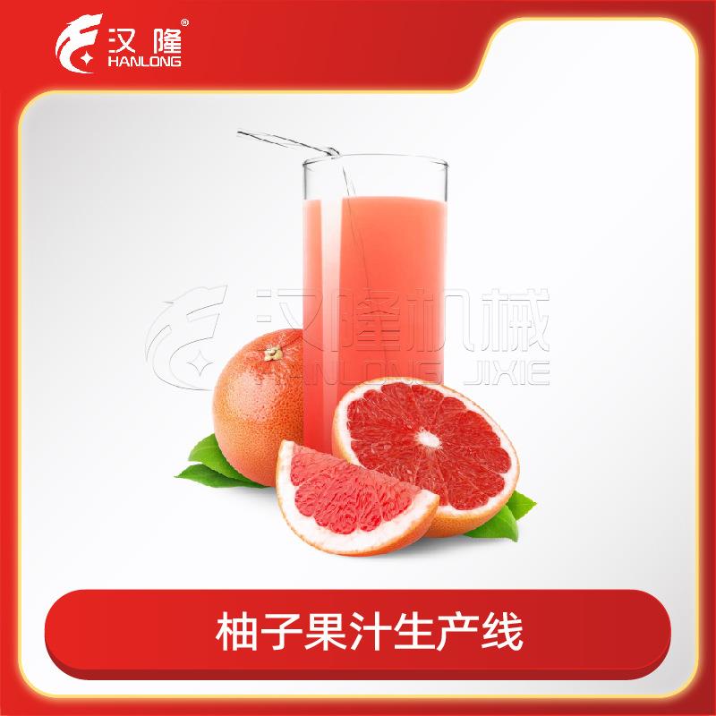 工业大型成套柚子果汁生产线蜜柚加工设备水果清洗去皮榨汁生产线