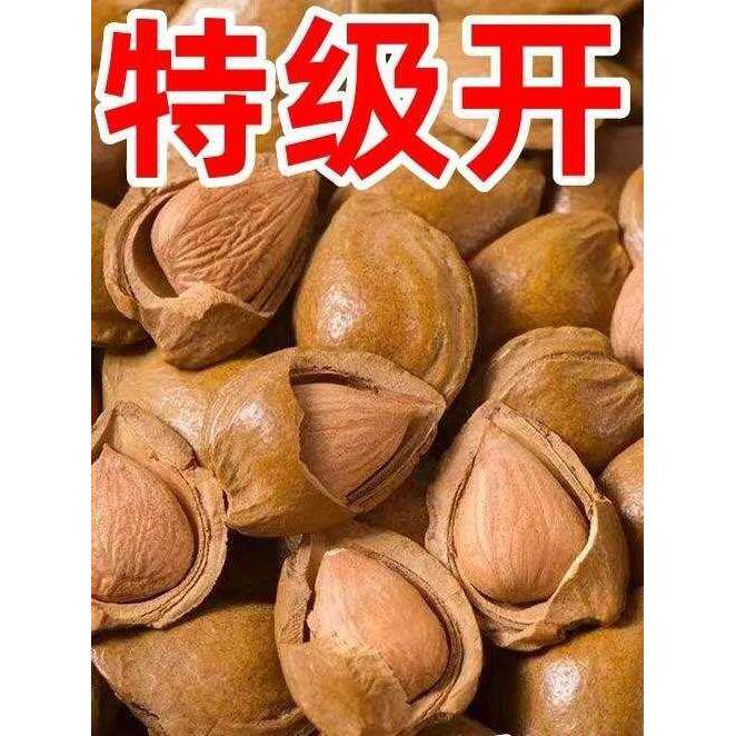 新疆特产杏核开口小银杏500g坚果杏仁开口杏原味零食五香干果新货