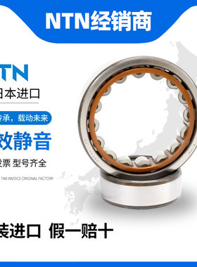 NTN日本原装进口圆柱滚子轴承NU340