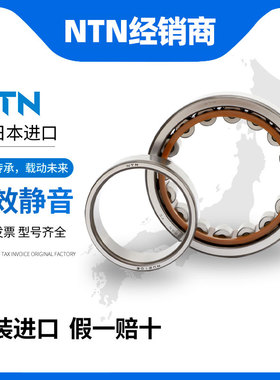 日本进口NTN圆柱滚子轴承NU222 224 226 228 230 232 236 238 240