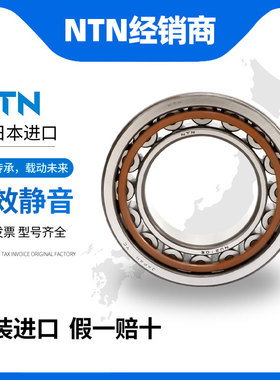 NTN日本进口圆柱滚子轴承NU252