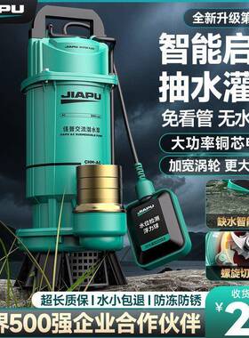 佳普浮球UGC水泵220潜V家用水机农用灌溉清泵泥抽浆化粪池水排污