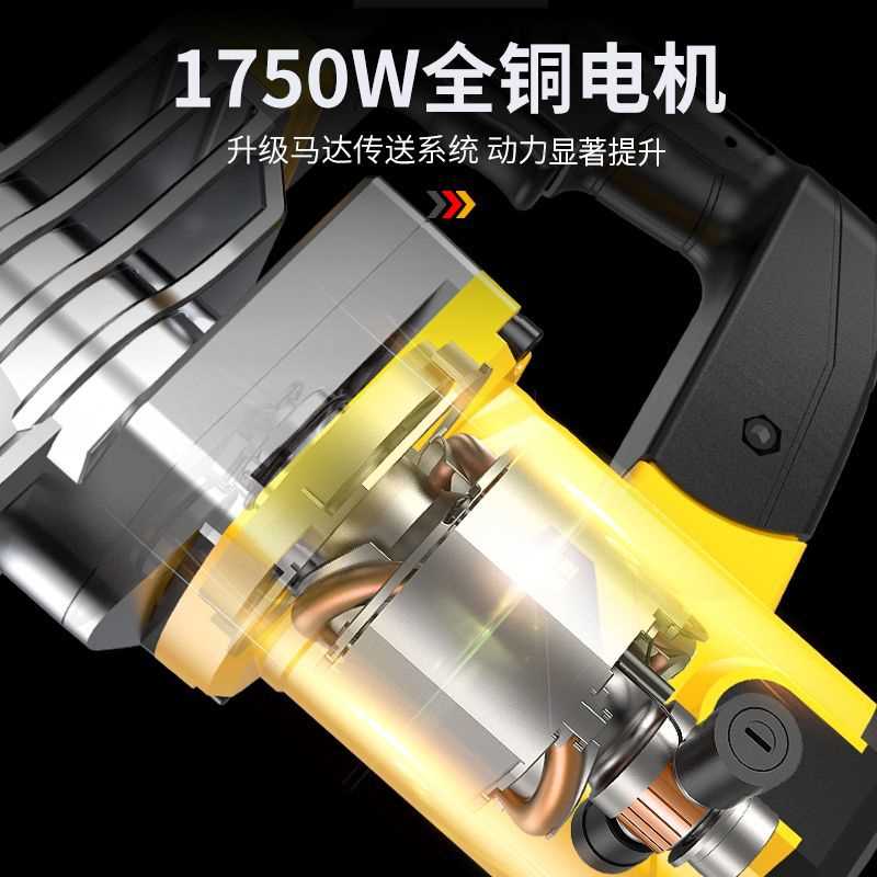 雷亚轻型专业破碎王电镐开槽拆墙工业级非电锤单用打混凝土大功率