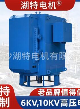 T压L大型水泵用立式同步电动系机TKSL高同步电列机YL92748生产厂