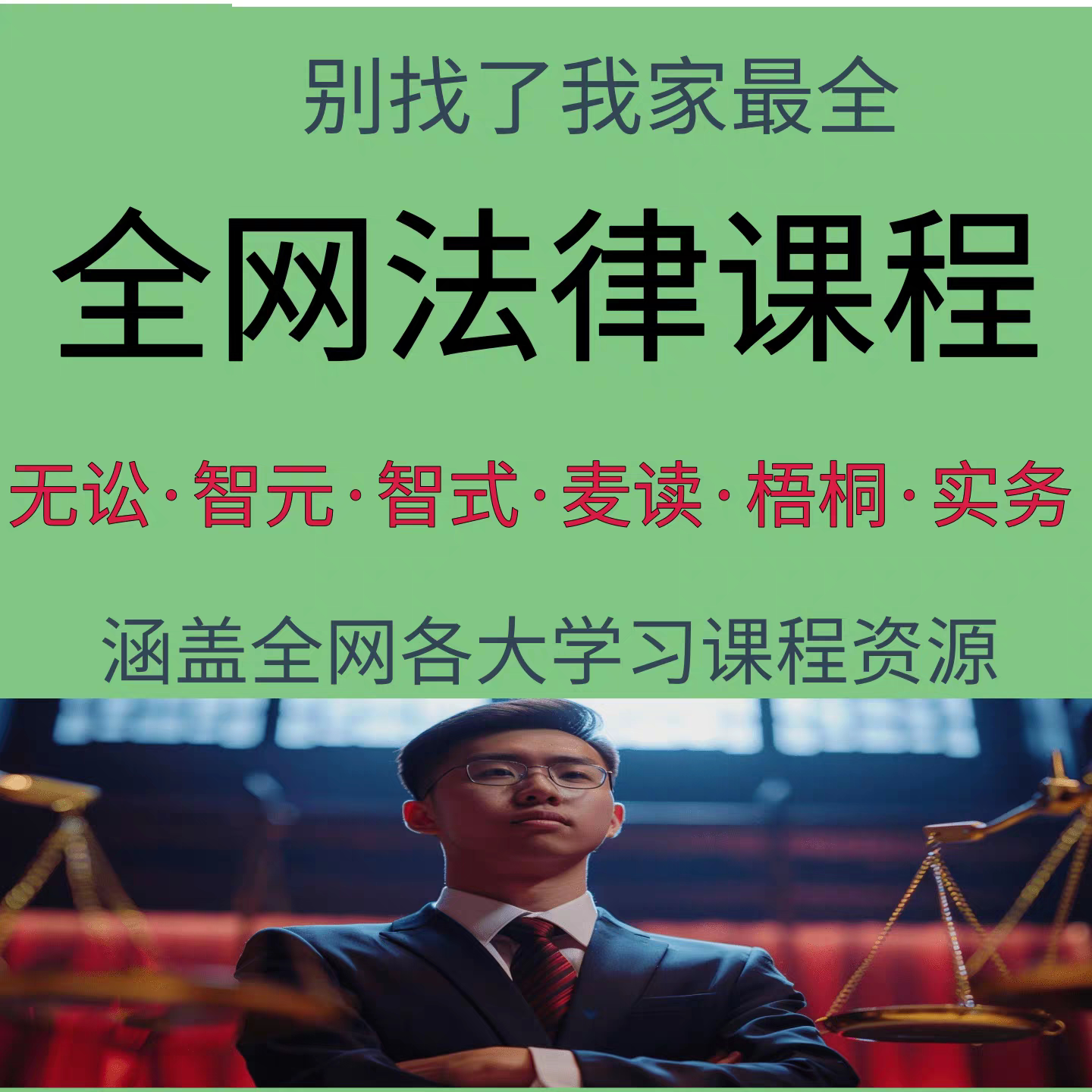 2025年法律名家讲堂智元法律课堂无讼学院民法典律师实务视频课程
