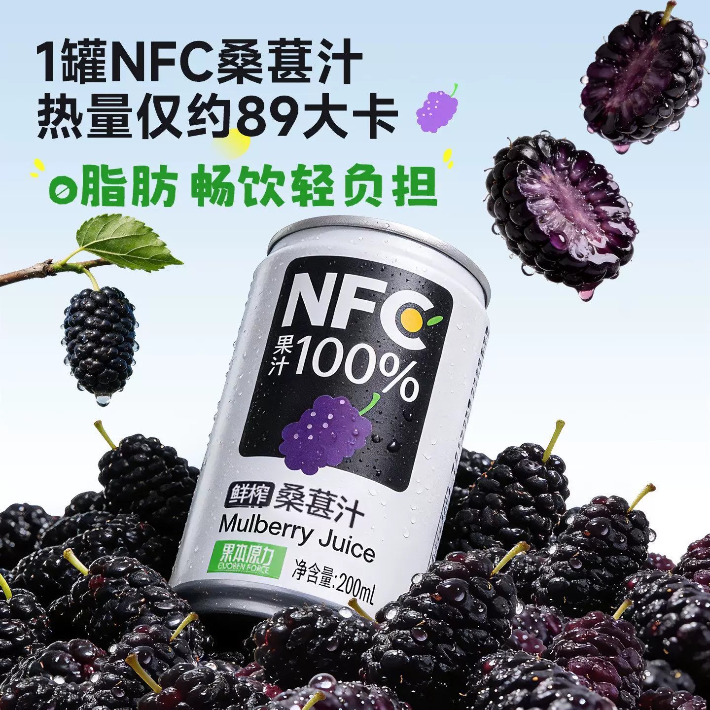 康之味NFC桑葚汁200ML*8罐装鲜榨纯果汁果蔬汁饮料整箱果汁饮料图片