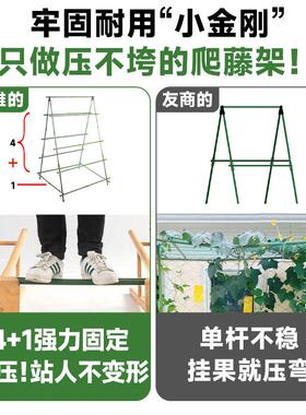 楼顶搭架子菜园西柿红角黄XIK瓜杆西瓜阳种葡萄爬藤豆架爬藤台架