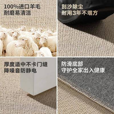 简羊约进口新西兰毛进门刮沙垫入尘地垫素户色玄勒布入户关除加厚