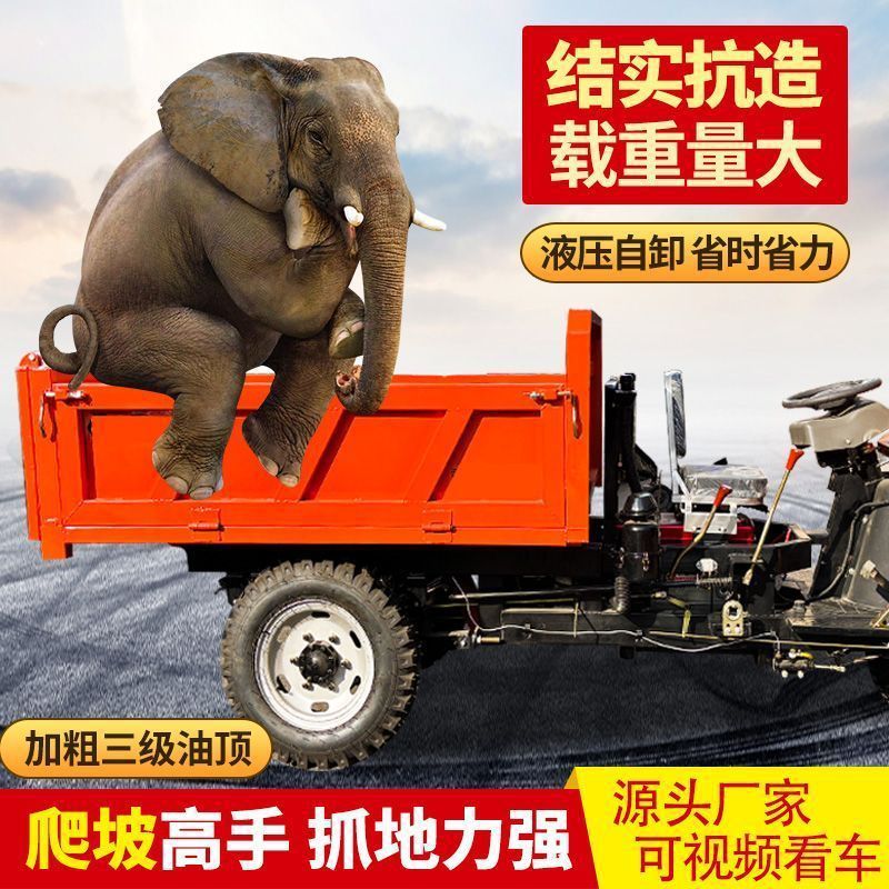 建筑工地柴油三轮车工程电动混凝土拉砖养殖场农用运输车自卸翻斗