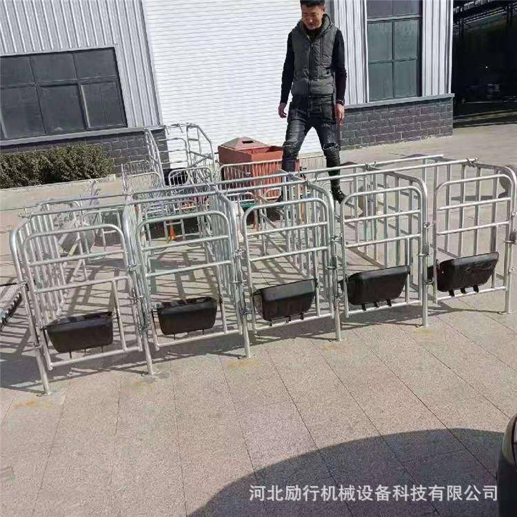 保育仔猪双体塑LTO板料复合热镀锌位管保床育栏母猪产床定栏养猪