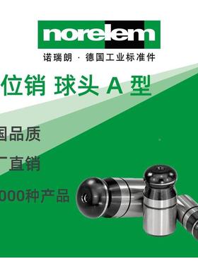 no0relem德118国原厂直供C诺瑞朗NLM0317型定位销球头A扁平型
