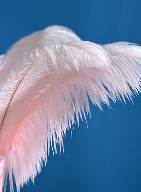 轻奢风羽毛装饰摆件家居客厅女生卧室梳妆台粉色高级感法式摆设