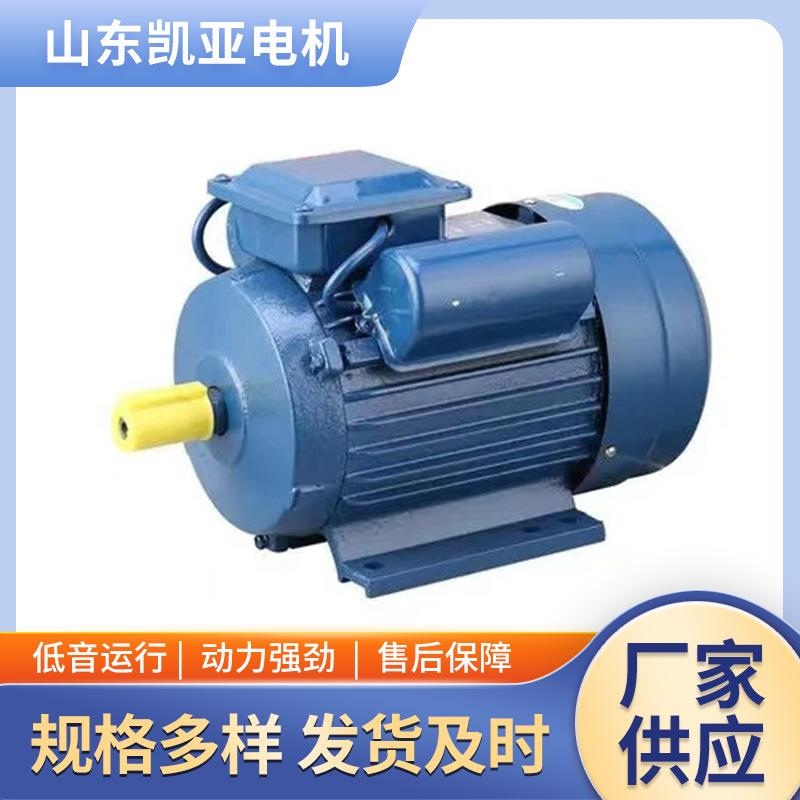 单项大功率电机220vYL0.25/0.37/0.55/0.75/-7.5w全新国标电机