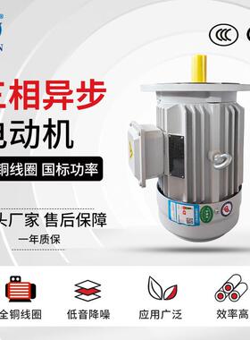 6极三相异步电动机YE3-80M1/M2-6电机0.37W/0.55W380V马达