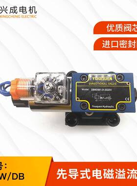 先导式液压阀DBW10A10BDBW20A20B电磁溢流阀220V24V