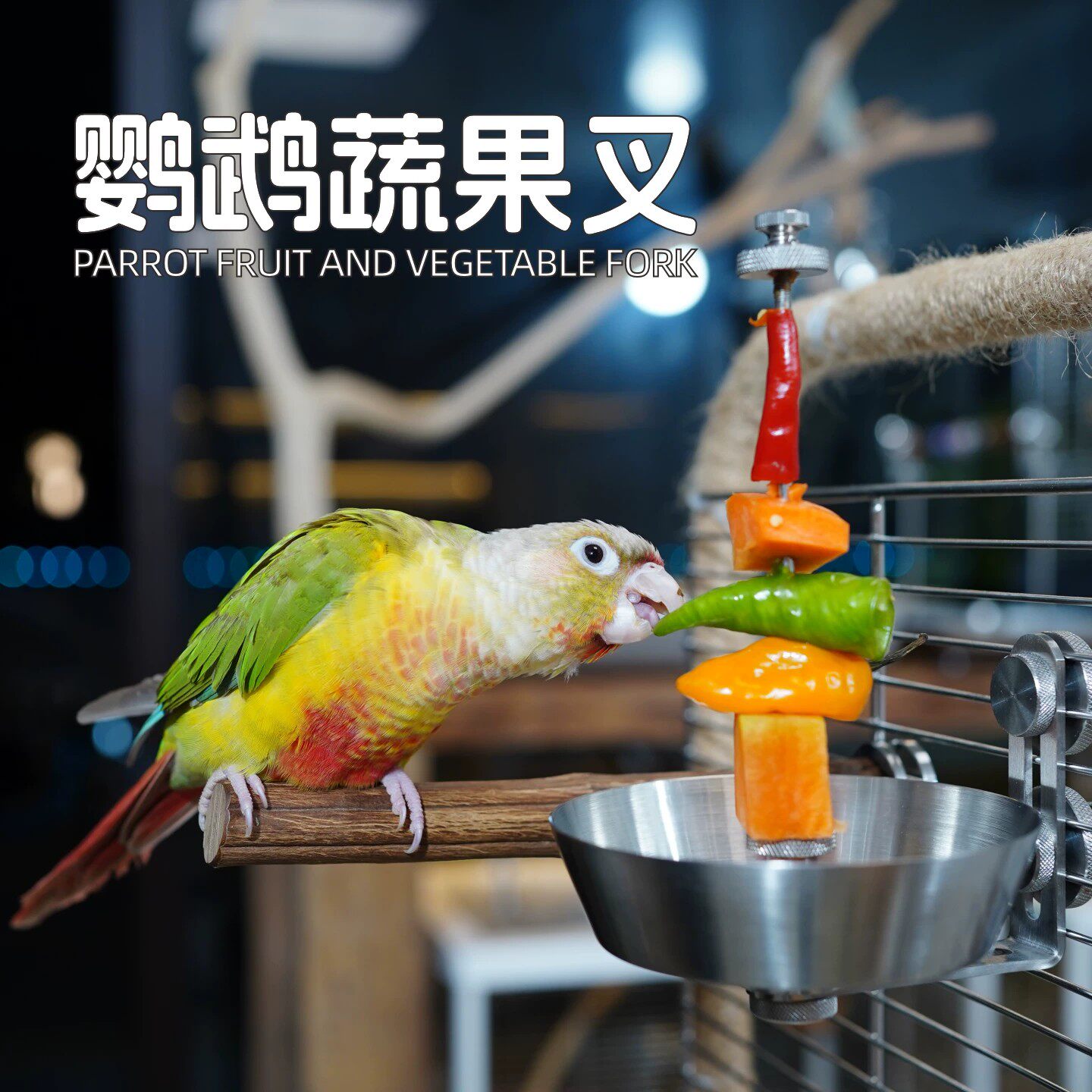 鹦鹉水果叉304不锈钢食盒蔬菜玉米苹果叉鸟用喂食器鸟笼配件用品