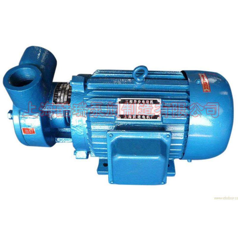 W型旋涡泵 20给W-20 锅炉水旋涡泵瑞 酷牌增压旋漩涡泵 电动768涡