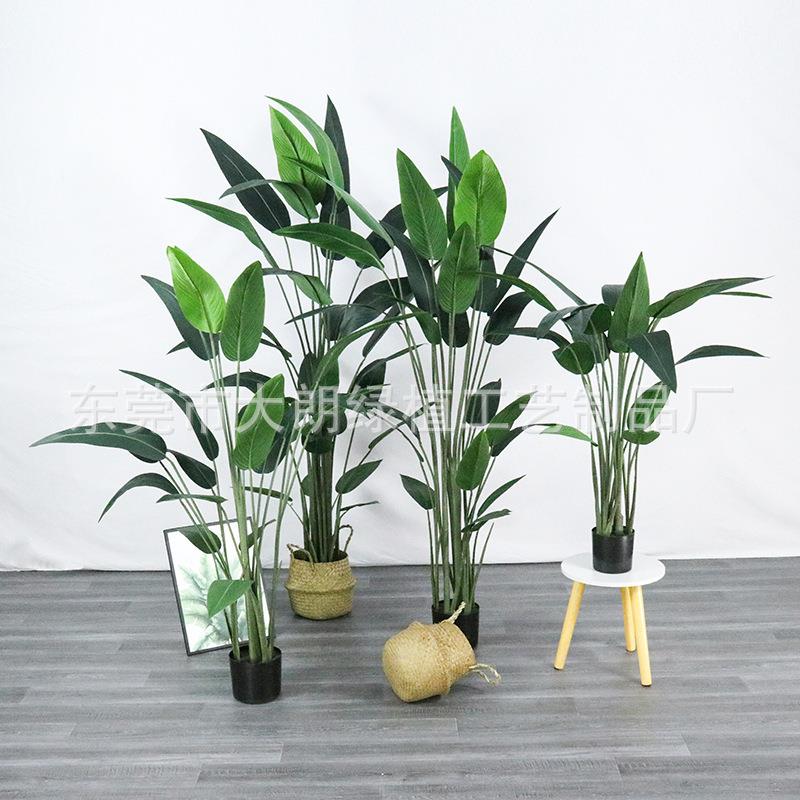 北欧天堂鸟仿美真植望物盆室内客厅落地栽天堂鸟装饰绿植鹤兰人蕉